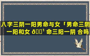 八字三阴一阳男命与女「男命三阴一阳和女 🌹 命三阳一阴 合吗」
